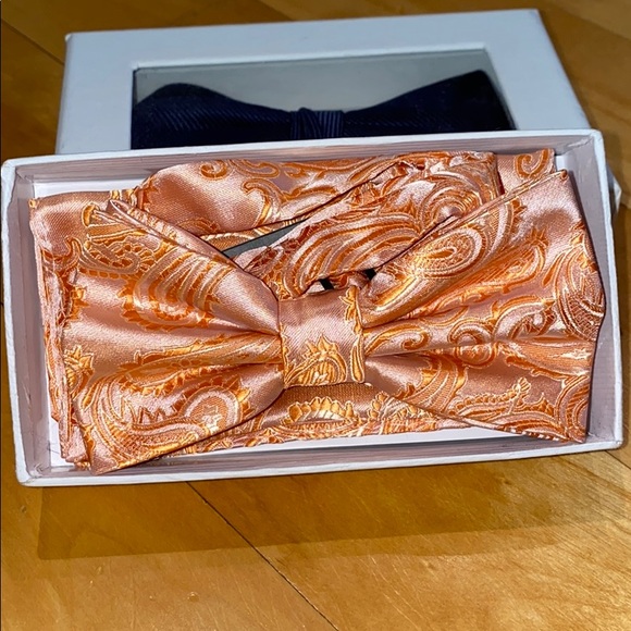 Other - NWT Orange/ pink paisley tie